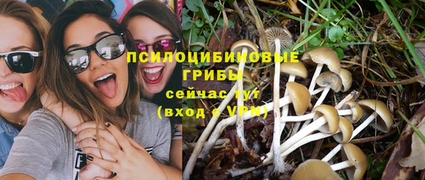 каннабис Заводоуковск